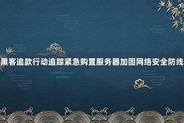 黑客追款行动追踪紧急购置服务器加固网络安全防线