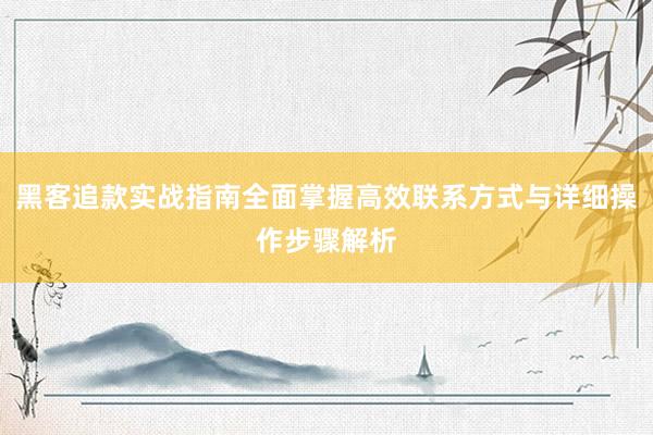 黑客追款实战指南全面掌握高效联系方式与详细操作步骤解析